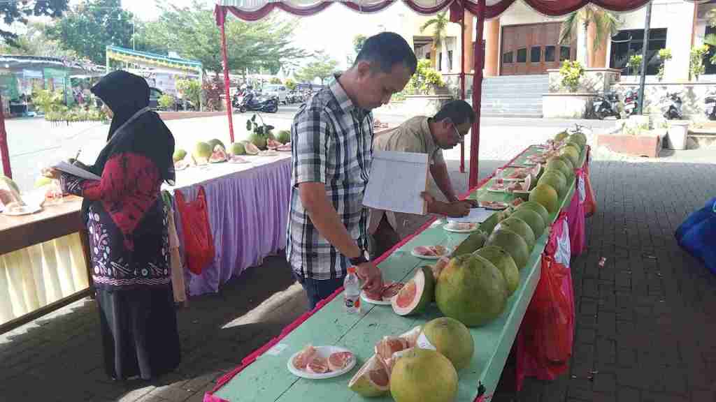 Rangkaian Peringatan HKP Ke- 52 DTPHP Magetan Ditutup dengan Kontes&nbsp;Pamelo